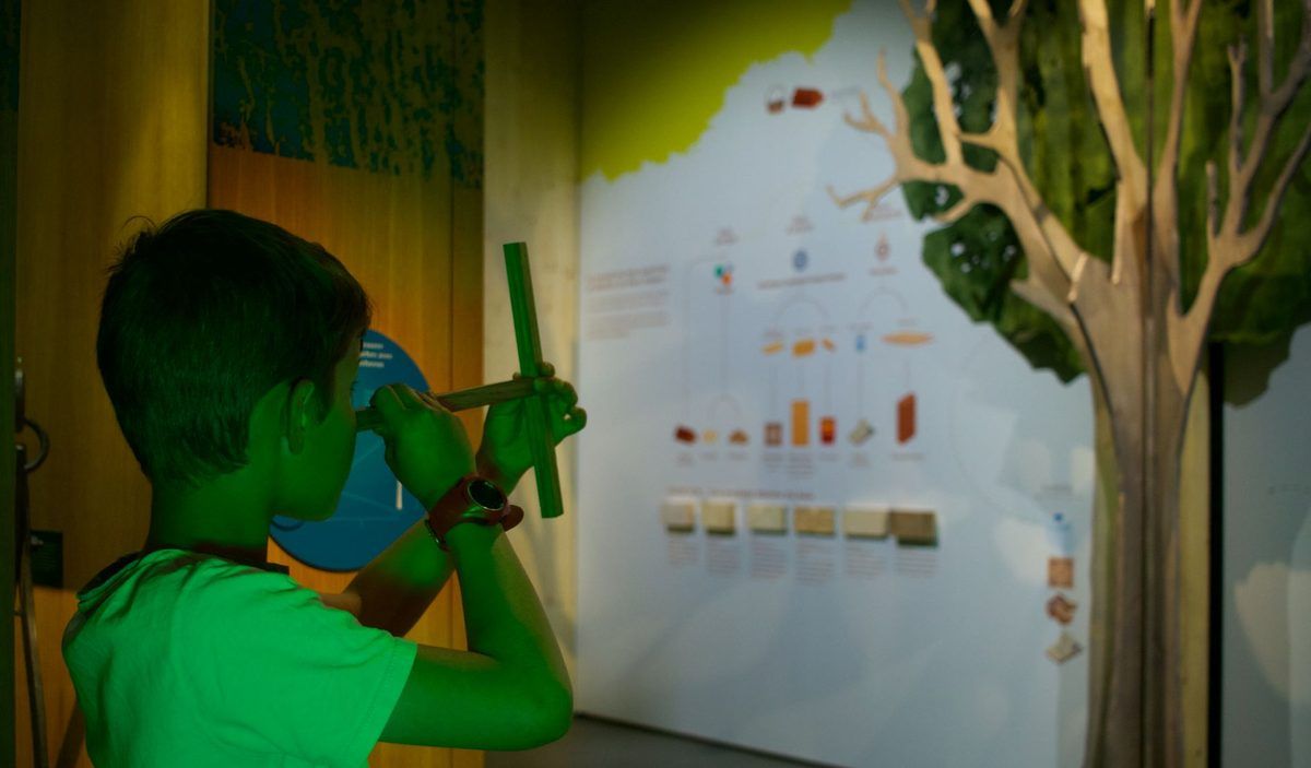 Un enfant manipule un instrument de mesure dans l'exposition de Carnuta
