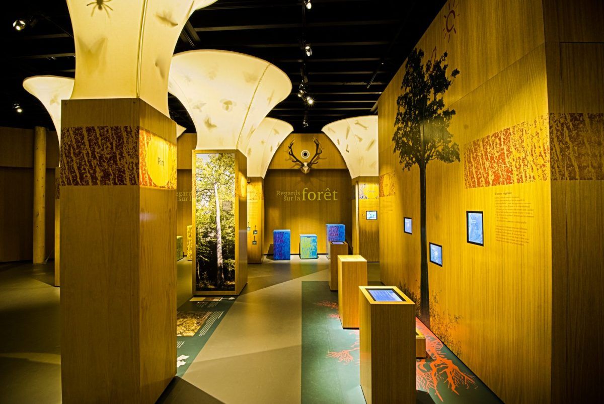 L'exposition « Regards sur la forêt » à l'intérieur de Carnuta