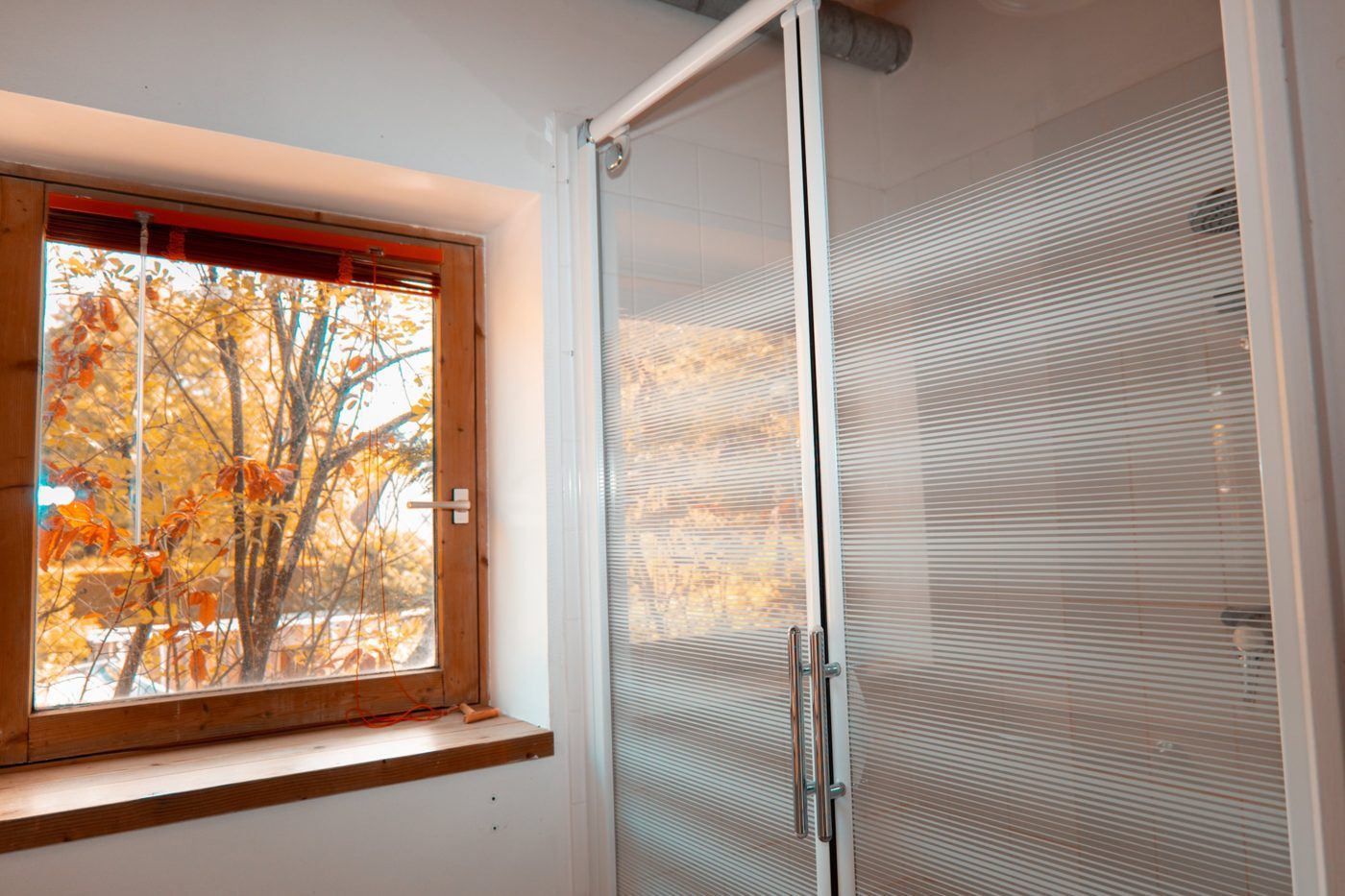Glass shower beside a window overlooking the foliage