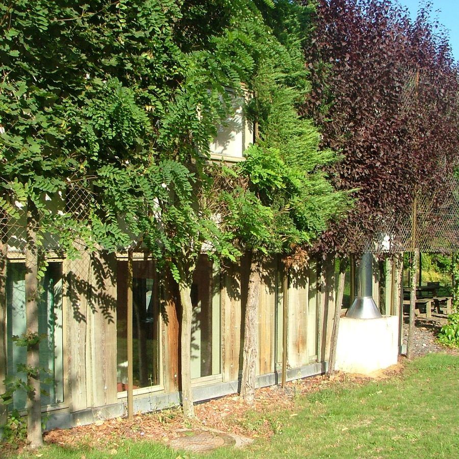 Glass walls of a chalet beneath the wisteria