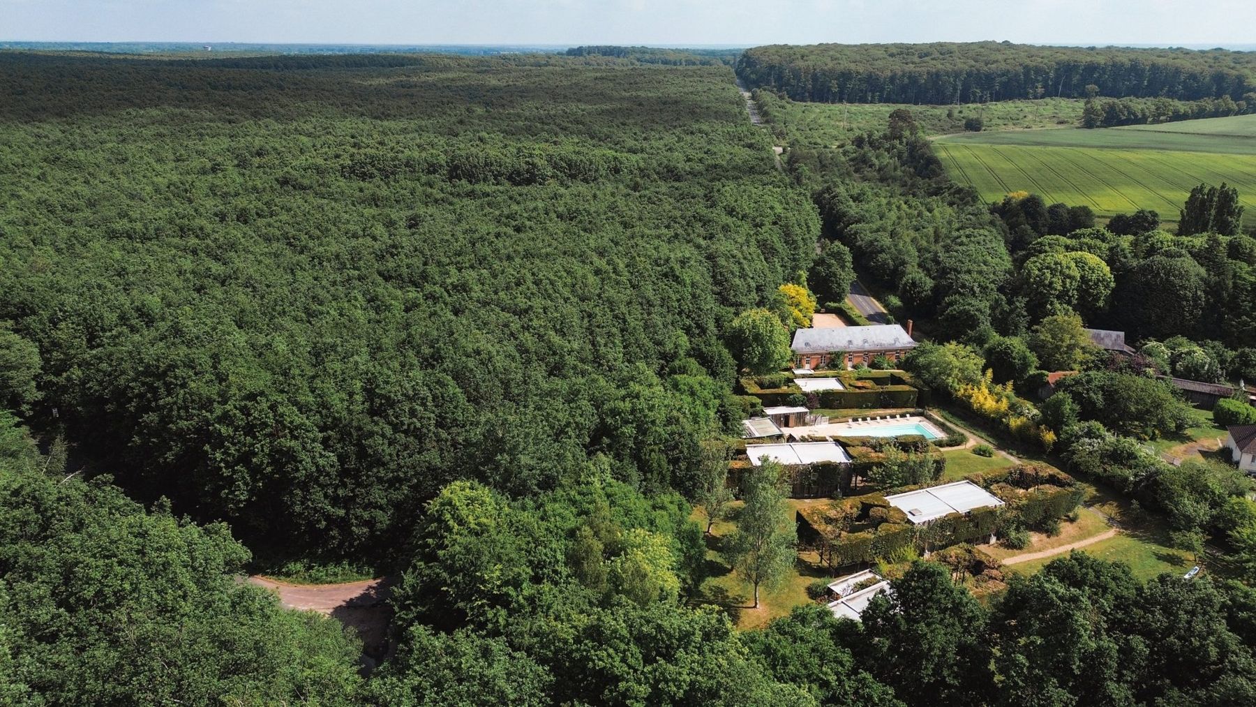 La forêt de Bercé à perte de vue depuis le site