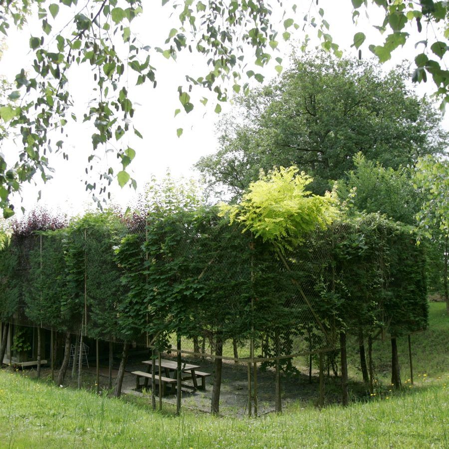 Chalet entouré de son mur végétal posé sur des troncs, table de pique-nique à l’abri
