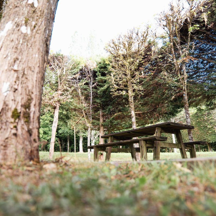 Picnic table sheltered by the trees
